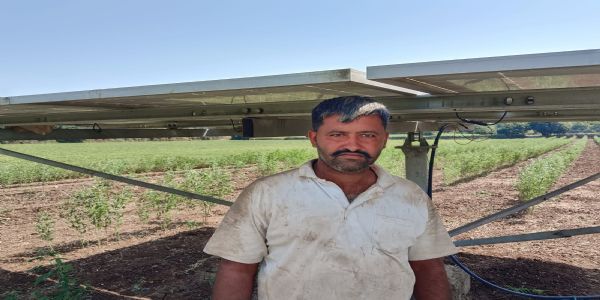 જૂનાગઢ જિલ્લાના 50 ખેડૂત ખેતરમાં સૌર ઊર્જાથી છવાઈ હરિયાળી