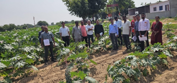મહેસાણામાં કેન્દ્ર સરકારની ટીમે કૃષિ યોજનાઓની સમીક્ષા કરી મહેસાણામાં કેન્દ્ર સરકારની ટીમે કૃષિ યોજનાઓની સમીક્ષા કરી