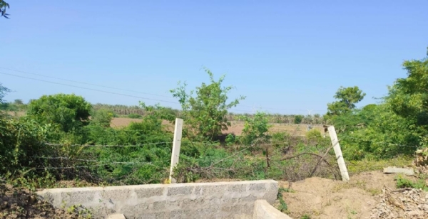 માંડવી તાલુકામાં દબાણ હટાવ ઝુંબેશ
