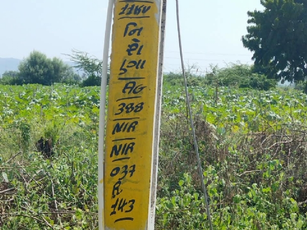 વીજ કરંટથી ભેંસોના મોત