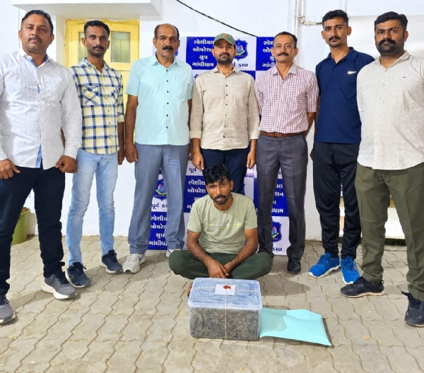 ગાંજા સાથે પકડાયેલ યુવક