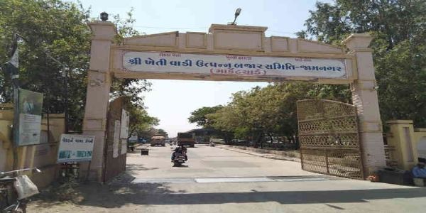 જામનગર હાપા માર્કેટીંગ યાર્ડમાં મગફળી, લસણ અને કપાસની બમ્પર આવક: 66 અને 9 નંબરની મગફળીના ભાવ ₹2500 સુધી બોલાયા