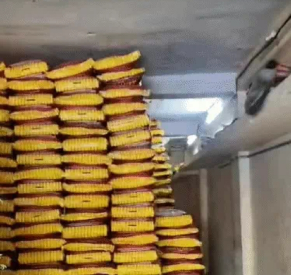 Police Seize 1,680 kg Stock