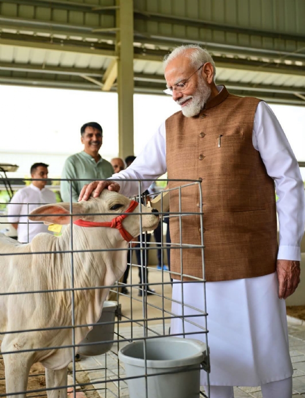 Modi taunts Rahul Gandhi in Bhildi, Banaskantha - People of Banaskantha are already turning plums into gold