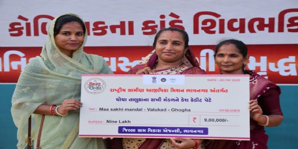 સખી મંડળની બહેનોને ફળ્યો ‘સરસ મેળો’: છેલ્લા પાંચ વર્ષમાં રૂ.39 કરોડથી વધુનો વકરો