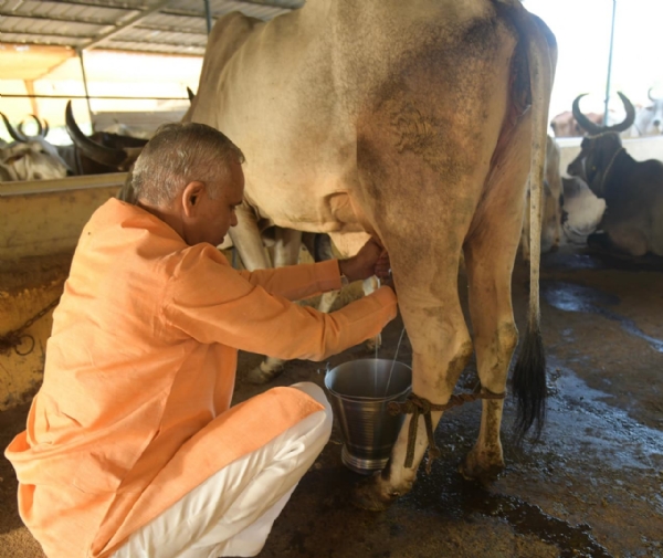 ભોરારા ગામે પ્રાકૃતિક ફાર્મની મુલાકાત