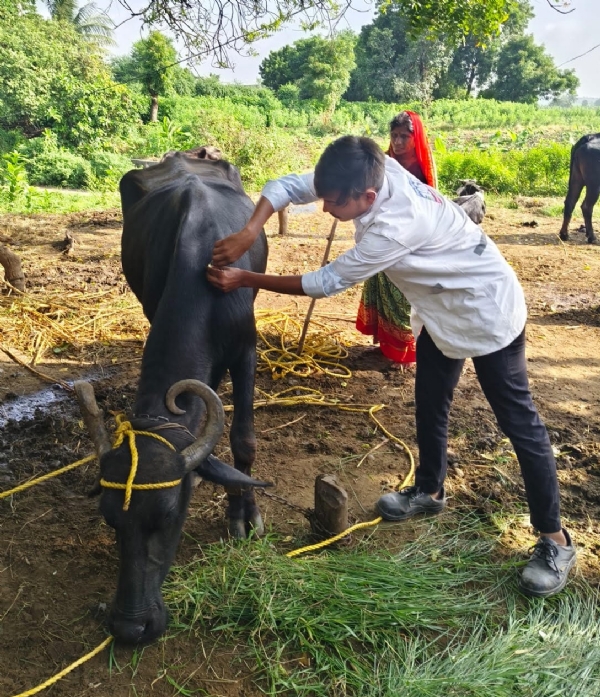 1692 Karuna Animal Ambulance completes nine years in Narmada district