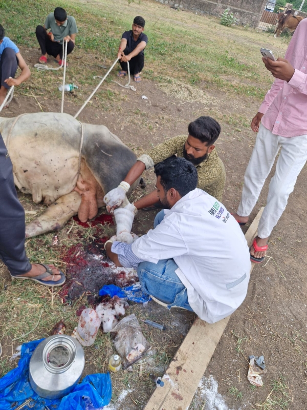 કરુણા એનિમલ હેલ્પલાઇન ના 9 વર્ષ