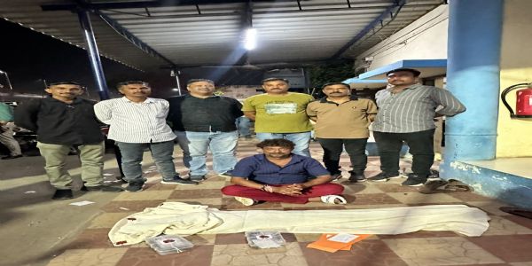 ચિત્રા મફતનગરમાં મકાનના ફળિયા અને કુંડામાં ગાંજાના 12 છોડ ઝડપાયા