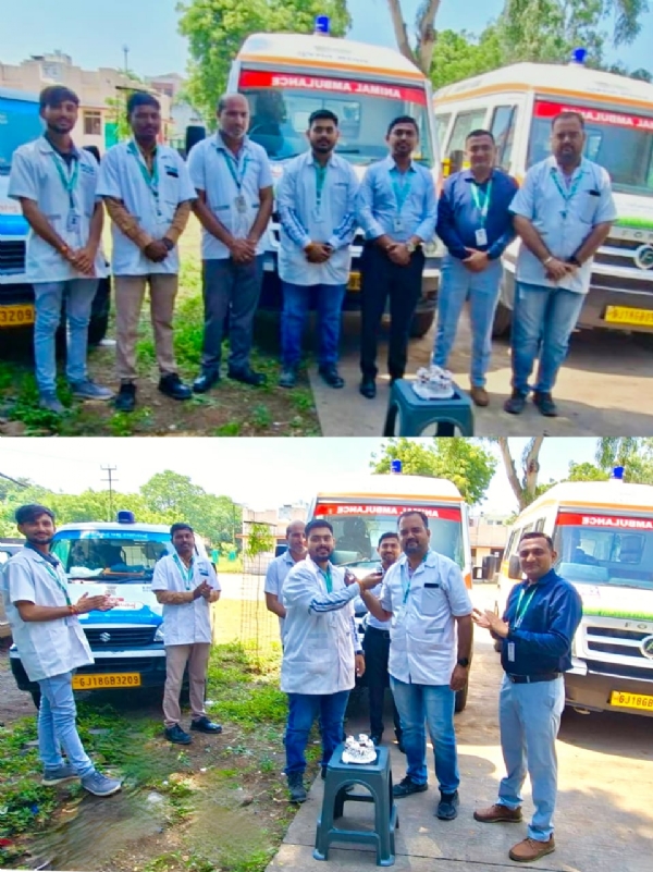 કરુણા એનિમલ હેલ્પલાઇન