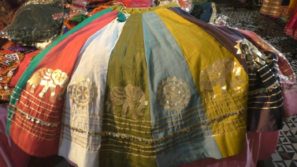 ‘વનતારા’ થીમ આધારિત ચણિયાચોળી