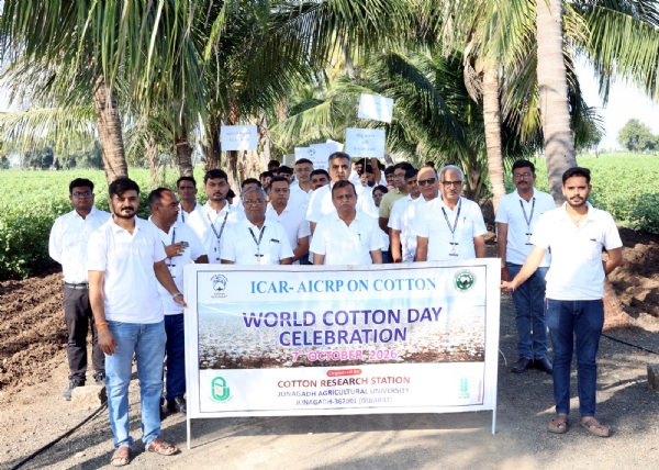 જૂનાગઢ કૃષિ યુનિવર્સિટીના કપાસ સંશોધન