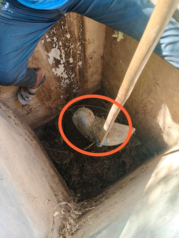 મથલ ડેમના કાચબા નું reskyu