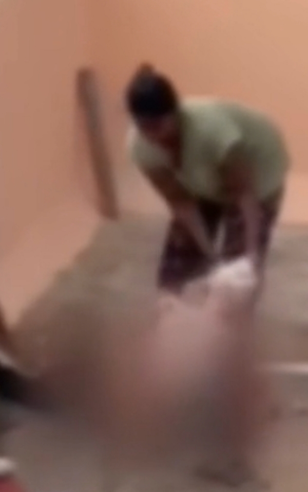 Daughter-in-law assaults