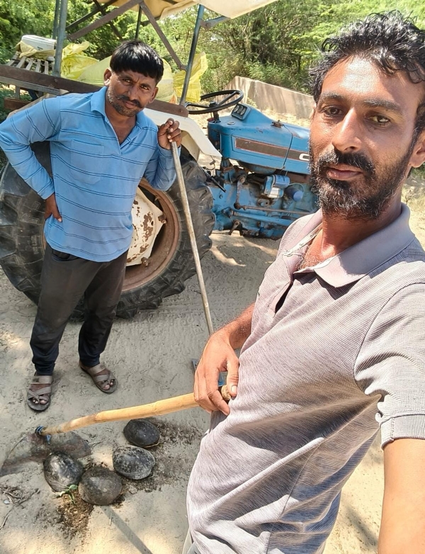 મથલ ડેમના કાચબા નું રેસ્ક્યુ