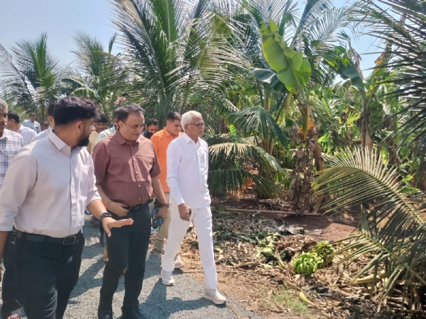 તાંતીવેલા ખાતે ખેડૂતોને મોર્ડન કોકોનેટ