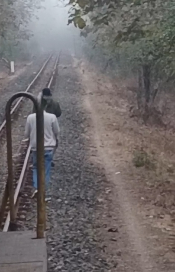 ભાવનગર મંડળના સતર્ક લોકો પાયલટે 10 સિંહોના ઝૂંડને ટ્રેનની ચપેટમાં આવતાં બચાવ્યા