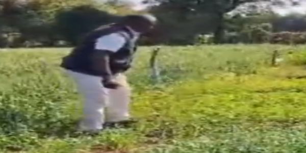 પ્રાકૃતિક ખેતીથી સફળતા: જયંતિભાઈ પ્રજાપતિની કહાની