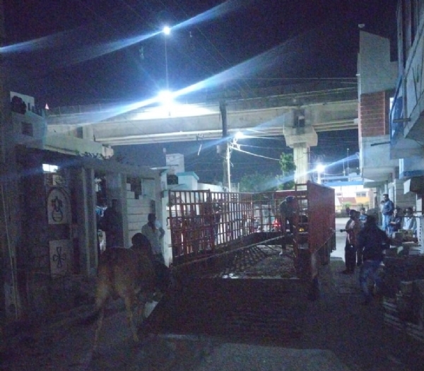 મહાનગરપાલિકા દ્વારા નરસંગ ટેકરી વિસ્તારમાં રખડતા ઢોર પકડવાની કામગીરી હાથ ધરી. મહાનગરપાલિકા દ્વારા નરસંગ ટેકરી વિસ્તારમાં રખડતા ઢોર પકડવાની કામગીરી હાથ ધરી.