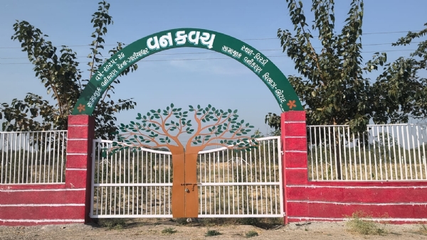 વૃક્ષોનું વાવેતર કરવામાં આવ્યું.