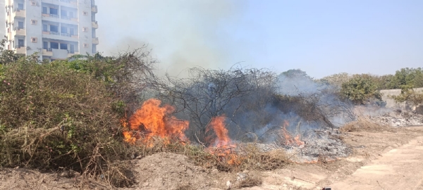 પોરબંદર શહેરમાં બે સ્થળોએ આગ લાગતા ફાયર બ્રિગેડ દોડતું થયું.