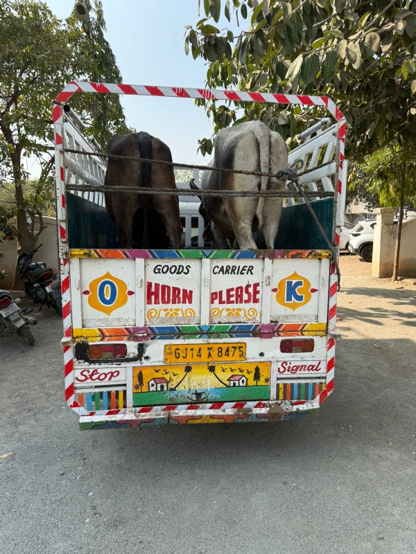 પશુઓ ને કતલ ખાને લઈ જતા શખ્સો સામે ગુન્હો નોંધાયો.