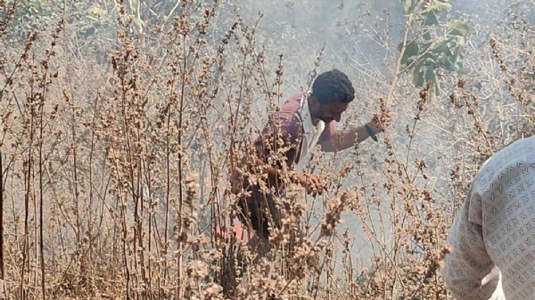 AMBAJI NA JANGAL MA AAG NI GHATNA