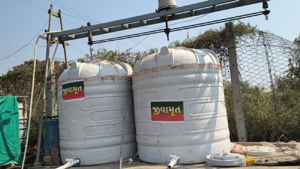 યુવક યુવક