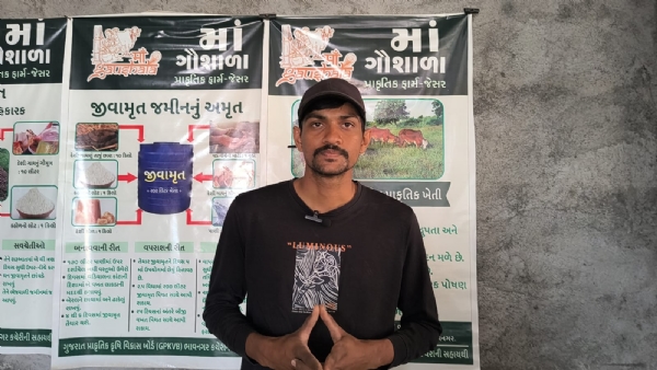 યુવક યુવક