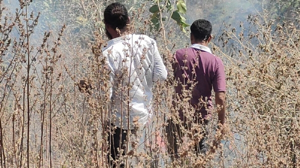 AMBAJI NA JANGAL MA AAG NI GHATNA