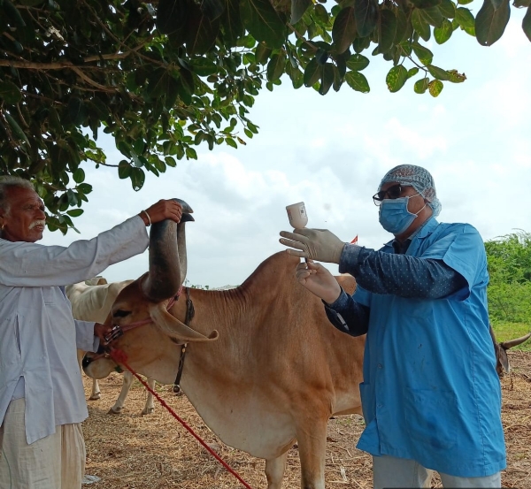 પશુઓમાં રસીકરણ