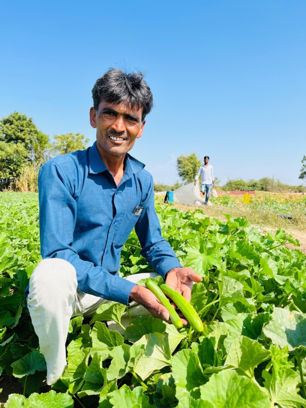 બાગાયતી ખેતી અને સોશિયલ મીડિયા માર્કેટિંગથી સફળતા: મહેસાણા પાસે આવેલા અમરપુરાના રણછોડજી ઠાકોર બન્યા ‘ડિજિટલ ખેડૂત’