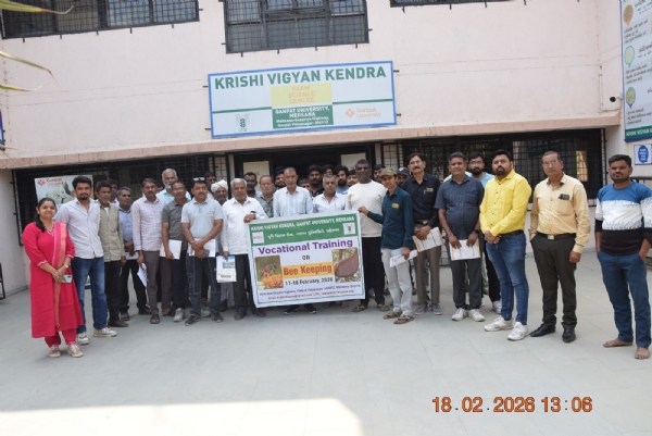 મધમાખી પાલન ઉદ્યોગ માટે 33 ખેડૂતોને તાલીમ, આત્મનિર્ભરતા તરફ મહત્વપૂર્ણ પગલું મધમાખી પાલન ઉદ્યોગ માટે 33 ખેડૂતોને તાલીમ, આત્મનિર્ભરતા તરફ મહત્વપૂર્ણ પગલું