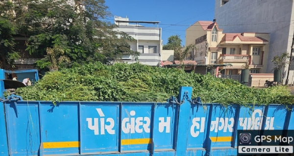 પોરબંદર શહેરમાં જાહેરમાં ઘાસચારો વેચનાર સામે મહાનગરપાલિકાની કાર્યવાહી. પોરબંદર શહેરમાં જાહેરમાં ઘાસચારો વેચનાર સામે મહાનગરપાલિકાની કાર્યવાહી.