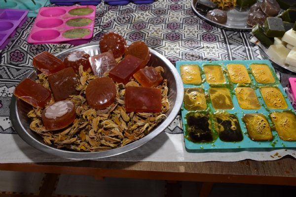 નર્મદા જિલ્લાના વિસ્તાર સહિત સ્ટેચ્યુ ઓફ યુનિટી ખાતે આવતા પ્રવાસીઓ માટે કેસૂડાના ફૂલો બન્યા ખાસ આકર્ષણનું કેન્દ્ર