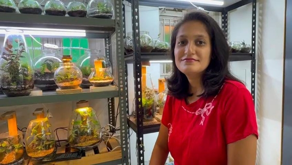 કાચના બાઉલમાં હરિયાળો વિશ્વ ઊભું કરતું ટેરેરિયમ આર્ટ કાચના બાઉલમાં હરિયાળો વિશ્વ ઊભું કરતું ટેરેરિયમ આર્ટ