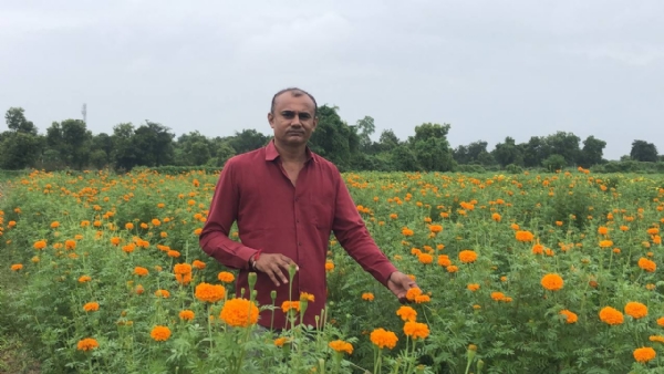 પરંપરાગત ખેતી છોડીને ફૂલની બાગાયતથી સફળતા મેળવતા હરિભાઈ ચૌધરી પરંપરાગત ખેતી છોડીને ફૂલની બાગાયતથી સફળતા મેળવતા હરિભાઈ ચૌધરી