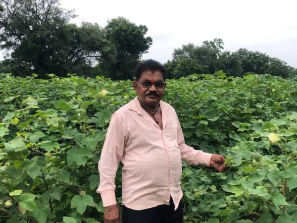 15 વર્ષથી પ્રાકૃતિક ખેતી અપનાવી સારો વળતર મેળવનાર લવજીભાઈ ઠાકોર 15 વર્ષથી પ્રાકૃતિક ખેતી અપનાવી સારો વળતર મેળવનાર લવજીભાઈ ઠાકોર