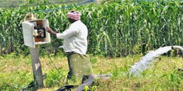 ગુજરાત સરકારે છેલ્લા બે વર્ષમાં ભાવનગર જિલ્લામાં 4555 ખેડૂતોને કૃષિ વીજ નવા જોડાણો અપાયા