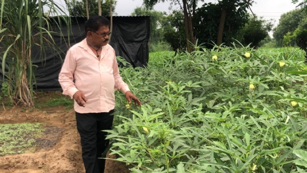 15 વર્ષથી પ્રાકૃતિક ખેતી અપનાવી સારો વળતર મેળવનાર લવજીભાઈ ઠાકોર 15 વર્ષથી પ્રાકૃતિક ખેતી અપનાવી સારો વળતર મેળવનાર લવજીભાઈ ઠાકોર