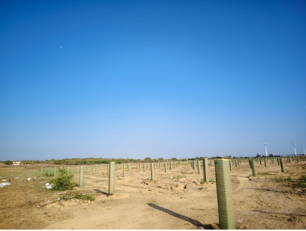 પોરબંદર મહાનગરપાલિકા દ્વારા શહેરને હરિયાળું બનાવવા 3000 વૃક્ષોના વાવેતરનું આયોજન. પોરબંદર મહાનગરપાલિકા દ્વારા શહેરને હરિયાળું બનાવવા 3000 વૃક્ષોના વાવેતરનું આયોજન.