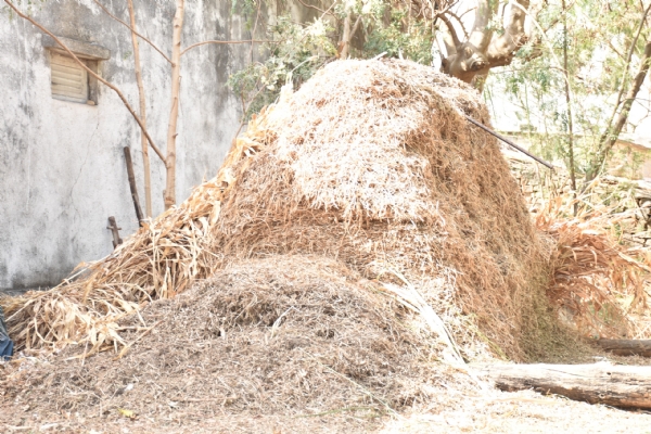 રાણાકંડારણા ગામના  કૃષિકારએ પ્રાકૃતિક ખેતી અપનાવી ઝેરમુક્ત ખેતીની નવી રાહ ચીંધી.