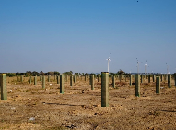 પોરબંદર મહાનગરપાલિકા દ્વારા શહેરને હરિયાળું બનાવવા 3000 વૃક્ષોના વાવેતરનું આયોજન. પોરબંદર મહાનગરપાલિકા દ્વારા શહેરને હરિયાળું બનાવવા 3000 વૃક્ષોના વાવેતરનું આયોજન.