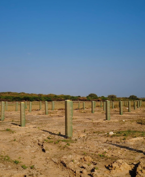 પોરબંદર મહાનગરપાલિકા દ્વારા શહેરને હરિયાળું બનાવવા 3000 વૃક્ષોના વાવેતરનું આયોજન. પોરબંદર મહાનગરપાલિકા દ્વારા શહેરને હરિયાળું બનાવવા 3000 વૃક્ષોના વાવેતરનું આયોજન.