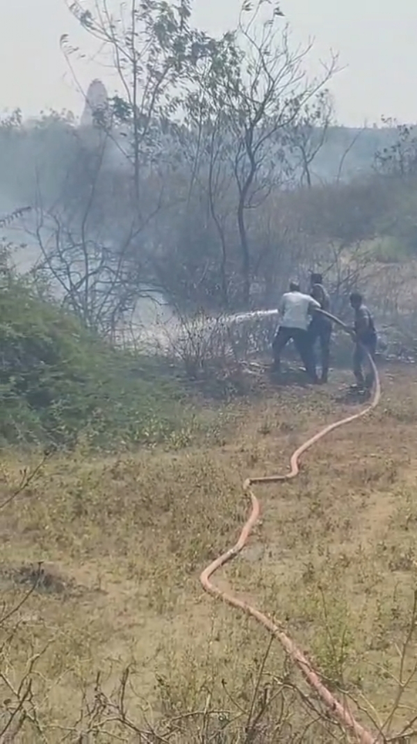 ધરપુર ગામે ઝાંખરામાં લાગેલ  આગ પર ફાયર બ્રિગેડે કાબુ મેળવ્યો.