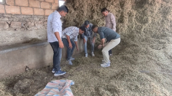 વાળોત્રા ગામે વાળી માંથી વિદેશી દારૂનો જથ્થો મળી આવ્યો. વાળોત્રા ગામે વાળી માંથી વિદેશી દારૂનો જથ્થો મળી આવ્યો.