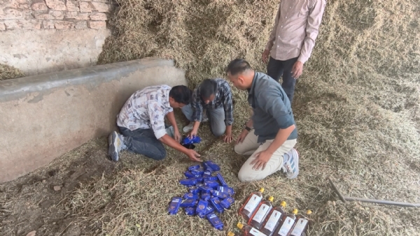 વાળોત્રા ગામે વાળી માંથી વિદેશી દારૂનો જથ્થો મળી આવ્યો. વાળોત્રા ગામે વાળી માંથી વિદેશી દારૂનો જથ્થો મળી આવ્યો.