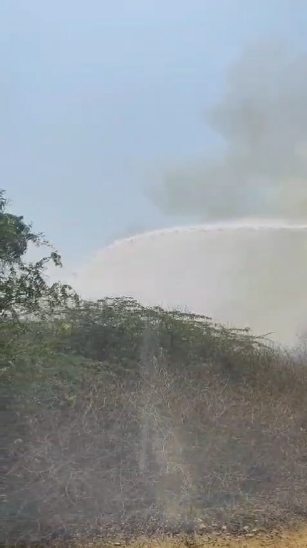 ભોદ ગામની સીમ વિસ્તારમાં પ્રચંડ આગ.