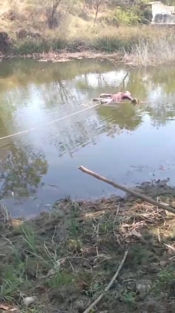 પારાવાડા ગામે ચેકડેમ માંથી યુવાનનો મૃતદેહ મળ્યો.