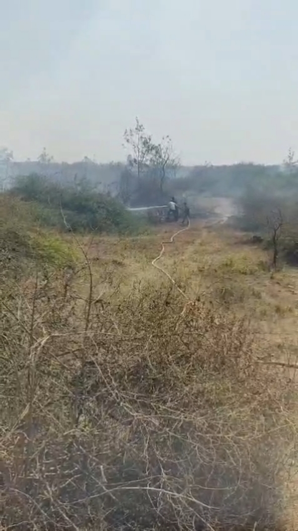 ધરપુર ગામે ઝાંખરામાં લાગેલ  આગ પર ફાયર બ્રિગેડે કાબુ મેળવ્યો.